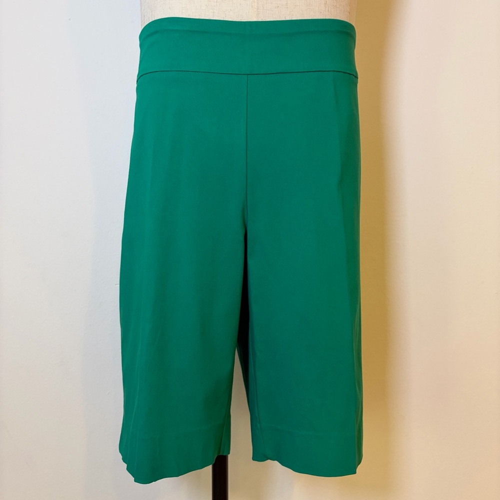 Zac & Rachel Woman Plus Size 22W Shorts Pepper Green NWT